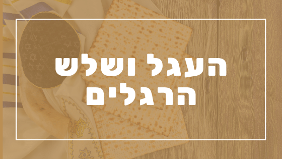 העגל ושלש הרגלים | פרשת יהדות