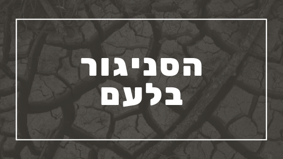 הסניגור בלעם | פרשת יהדות